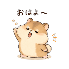 もちもち茶ハムスター 気持ち伝わる
