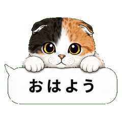 三毛スコの猫好き吹き出しスタンプ