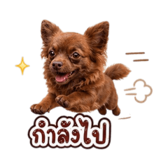 chanomchamuk_20260501173742