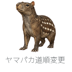 ヤマパカ道順変更