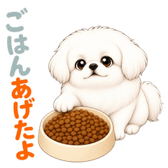 白ペキの犬のお世話連絡スタンプ