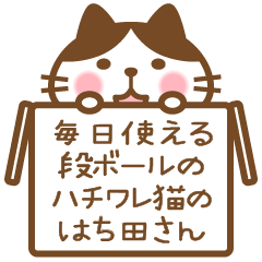 段ボールのハチワレ猫のはち田さん