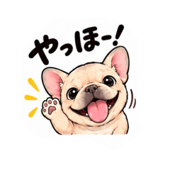 ワンコの日常版