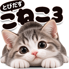 とびだす！こねこ3
