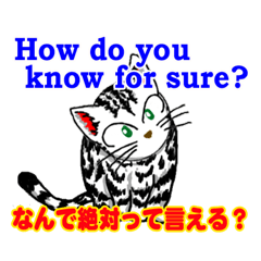 猫で英会話 よく使う英語編vol3