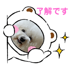 ふわまるはるの日常