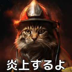現場猫〜炎上編〜