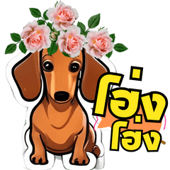 DACHSHUND LOVE FLOWERS V2