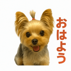 ヨークシャテリアの犬のスタンプ