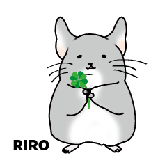 チンチラのリロ