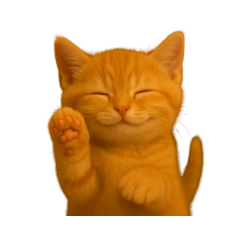 にゃんこ家族だより