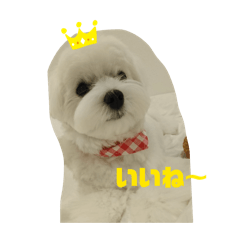 うみのひとこと。