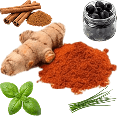 ハーブ・スパイス・調味料　実写