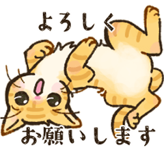 猫のるぅ＆ちゃちゃ　～敬語バージョン～