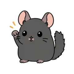 Bass the chinchilla