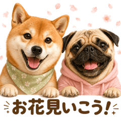 シバとパグ 季節イベント編