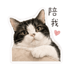 Mochi_20260427165900