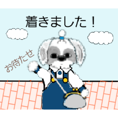 シーズー犬 5毎日使えるお出かけと連絡