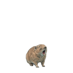 【小さく表示される】グンディ
