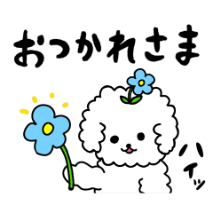時々クセ強トイプーのゆるい日常【白】