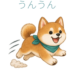 柴犬の短い気づかい