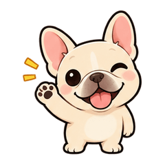 French Bulldog Quick Chat