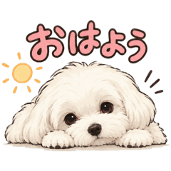ハクとムギ