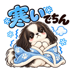 狆が主役！狆との暮らし 第3弾