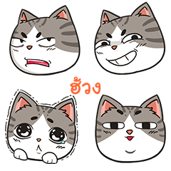 HUANG2 trollcat emoji