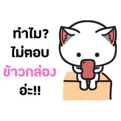 KhaawGlaong - The cat sticker
