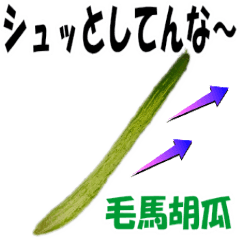 大阪産（なにわの伝統野菜①）