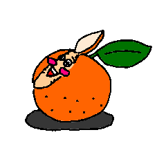 ミラクルラブリーオレンジ