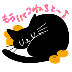 黒猫モルモル4