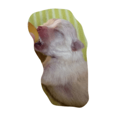 わちる&あぐり❤️