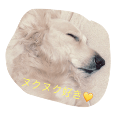 私の家族のえむくん