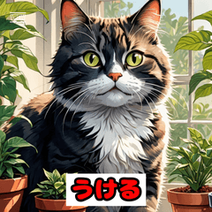 表情豊かなネコたち40