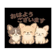 チワワんこ劇場