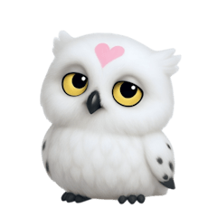 白い魔法のフクロウ (NT)