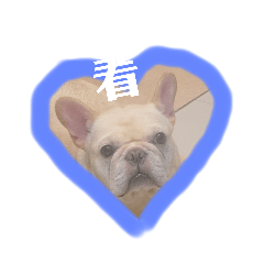 Tofu's mom_20250822125530