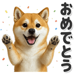 毎日使える！かわいい柴犬