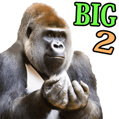 リアル☆ゴリラ 2【BIG】