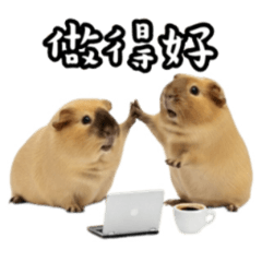 Realistic and fun [Guinea Pig Workplace]