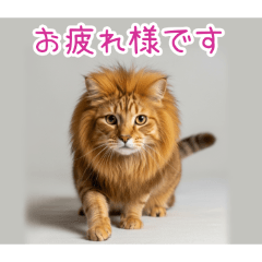 [お疲れ様です専用]ライオン猫