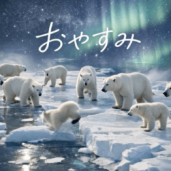 飛び出す♡世界の動物紀行