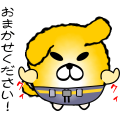nobobi 粋なゴールデン