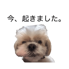 また、ぽんとこの