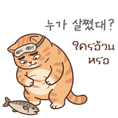 Look-Plub: The Cheeky Orange Cat (Big)