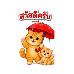 Cats and Kittens under umbrella.