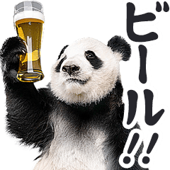 酒ビール！リアルなパンダミーム（日常）