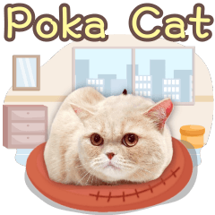 Poka-Catlife